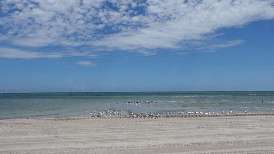 MIA_2023-08-28 14-28-10_RX_06586